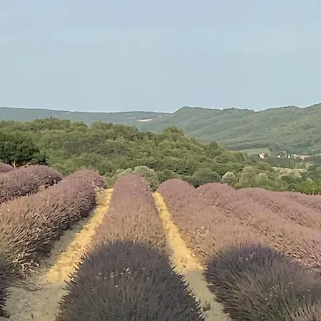 Holiday home Soleil Levant En Luberon